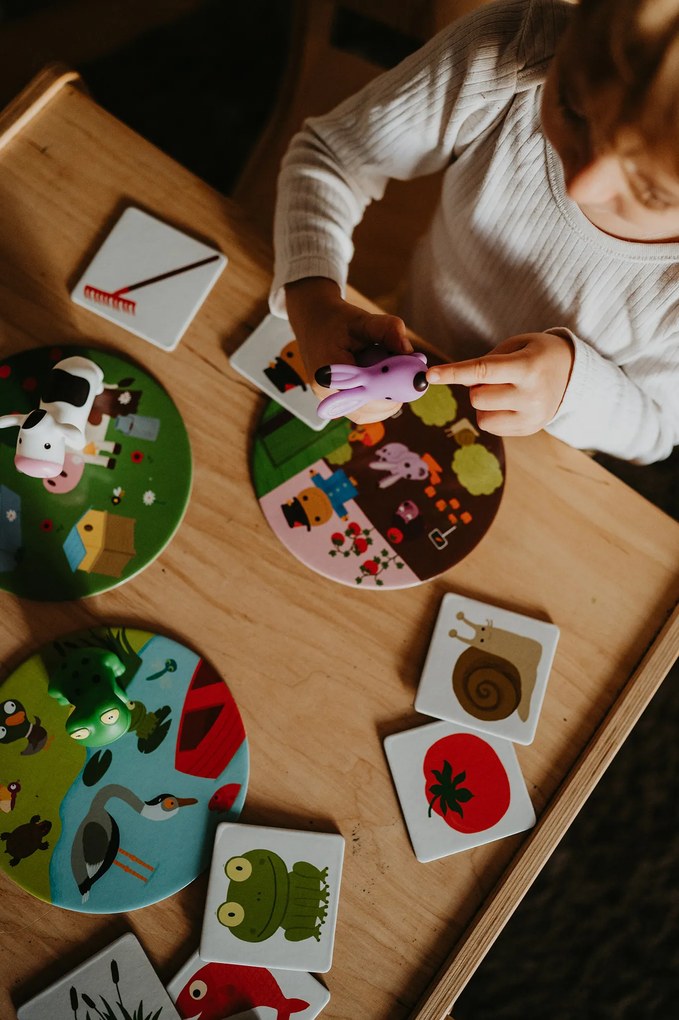 Dove e come vivono gli animali?