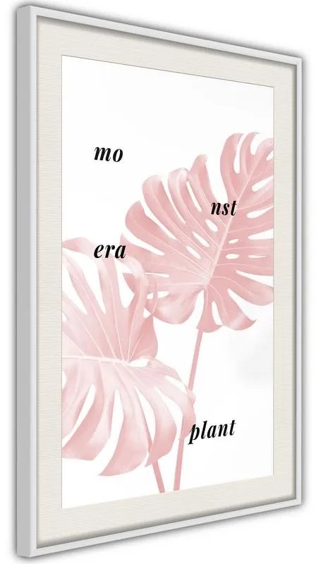 Poster  Pale Pink Monstera  Cornice Quadri Cornice nera con pass-partout, Larghezza x Altezza Home decor 30x45