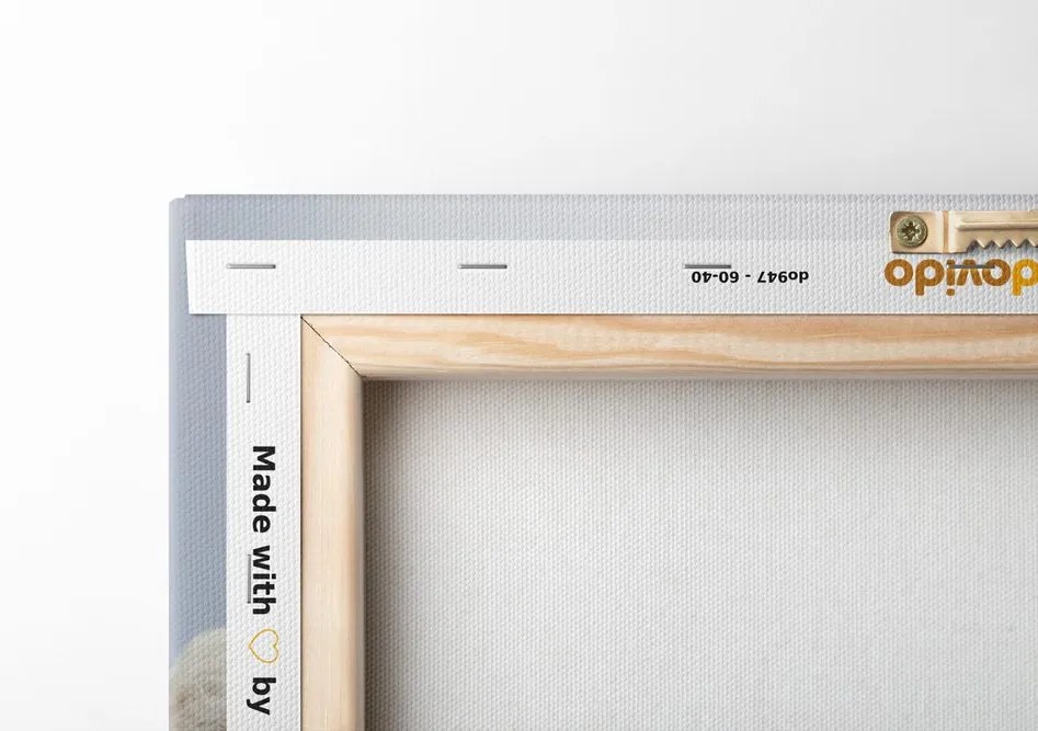 Quadro su tela – Fiori artici di cotone