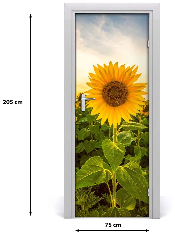 Adesivo per porta Campo di girasole 75x205 cm