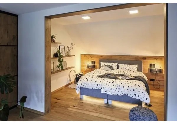 Paulmann 79796 - Plafoniera LED/13W CARPO 230V 2300-3000K