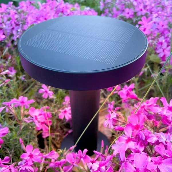 Zuma Line DT33611 - Lampada solare LED CARLI LED/2W/2000 mAh IP44 nero