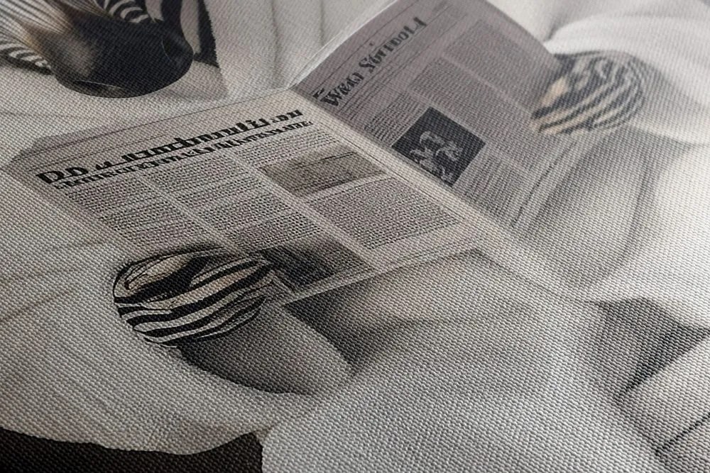 Stampa su tela – Zebra con giornale in bagno
