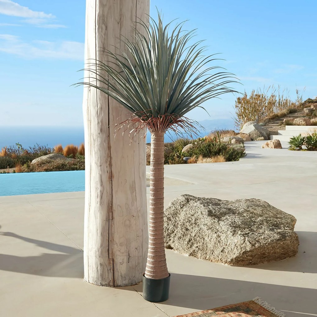 LOBERON Palma decorativa Remivon
