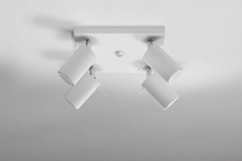 Plafoniera da Soffitto in acciaio 4xGU10 RING 4 Orientabile da interno