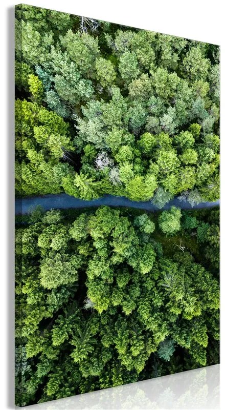 Quadro Road Through Forest (1 Part) Vertical  Colore Grigio, Dimensioni e Misure 40x60