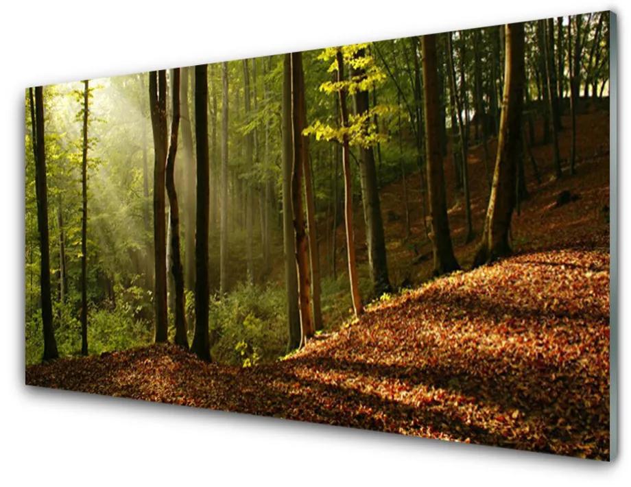 Rivestimento parete cucina Foresta, alberi, natura 100x50 cm