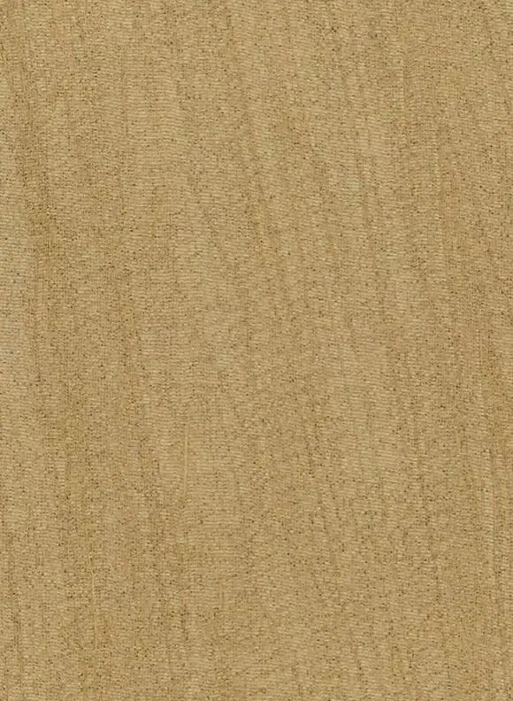 Arte Carta da parati Pristine - Antique Gold