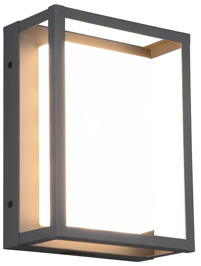 Lampada da parete per esterni a LED (altezza 24 cm) Witham - Trio