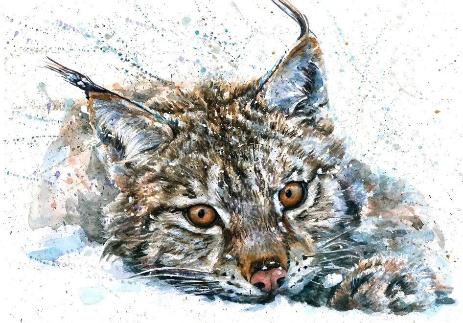 Carta da parati – Lince in acquerello