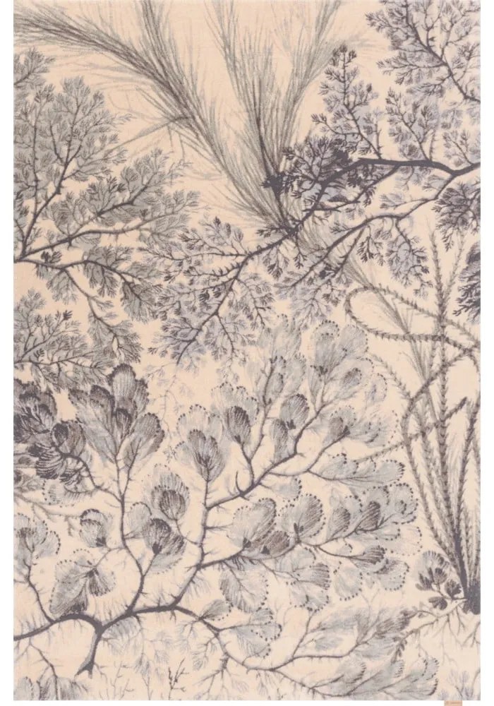 Tappeto color menta/beige in lana 200x300 cm V&amp;A Calisia Kelp – Agnella