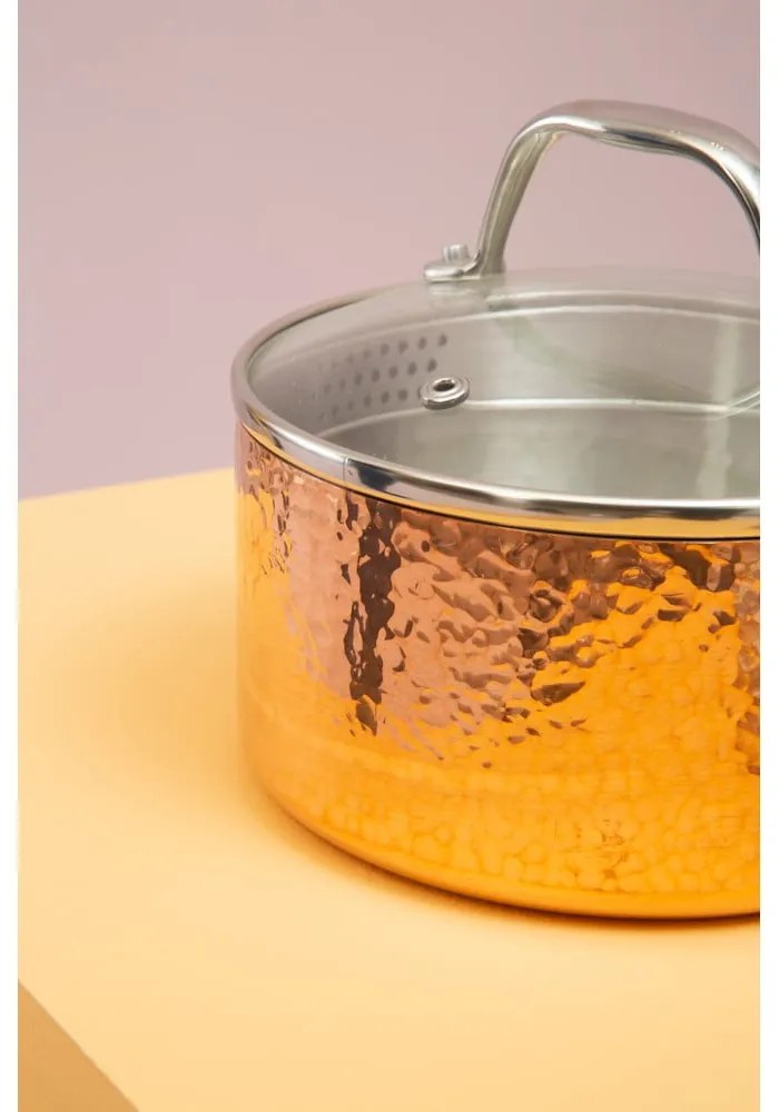 Pentola in acciaio inox con coperchio 1,55 l Minerva - Premier Housewares