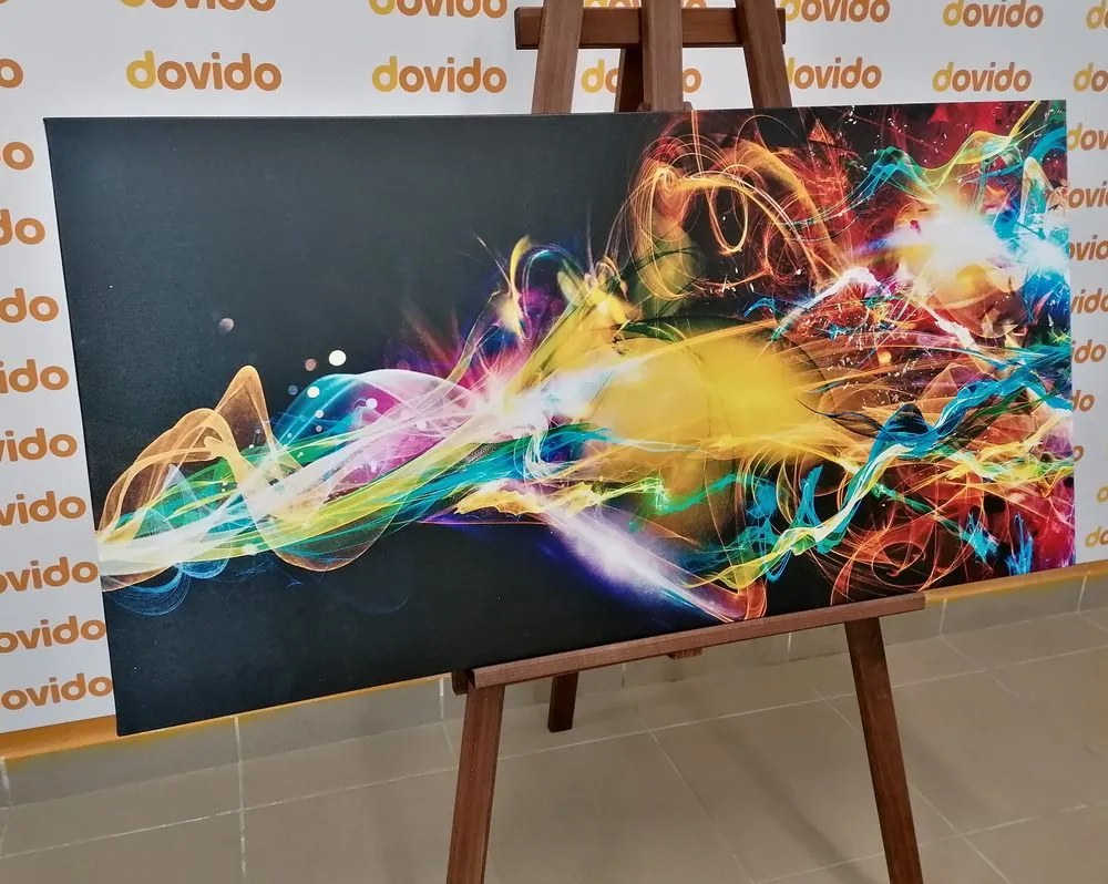 Quadro su tela – Esplosione di colori