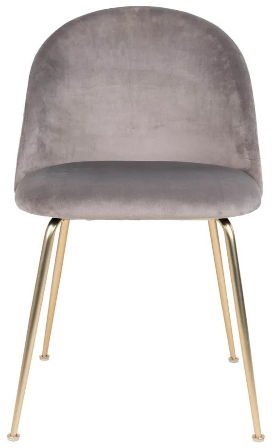 Set di 2 sedie da pranzo in velluto grigio chiaro Geneve - House Nordic