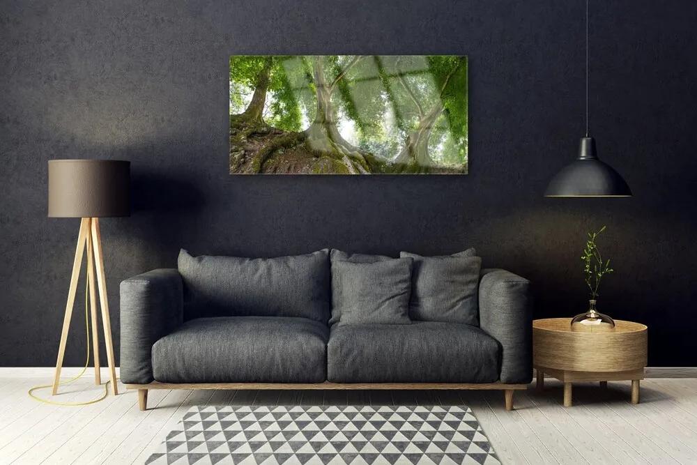 Quadro acrilico Alberi, piante, natura 100x50 cm