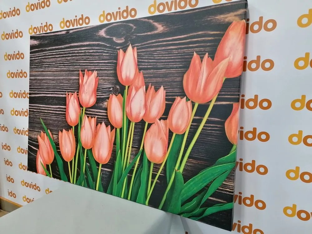 Stampa su tela – Incantevoli tulipani arancioni su sfondo di legno