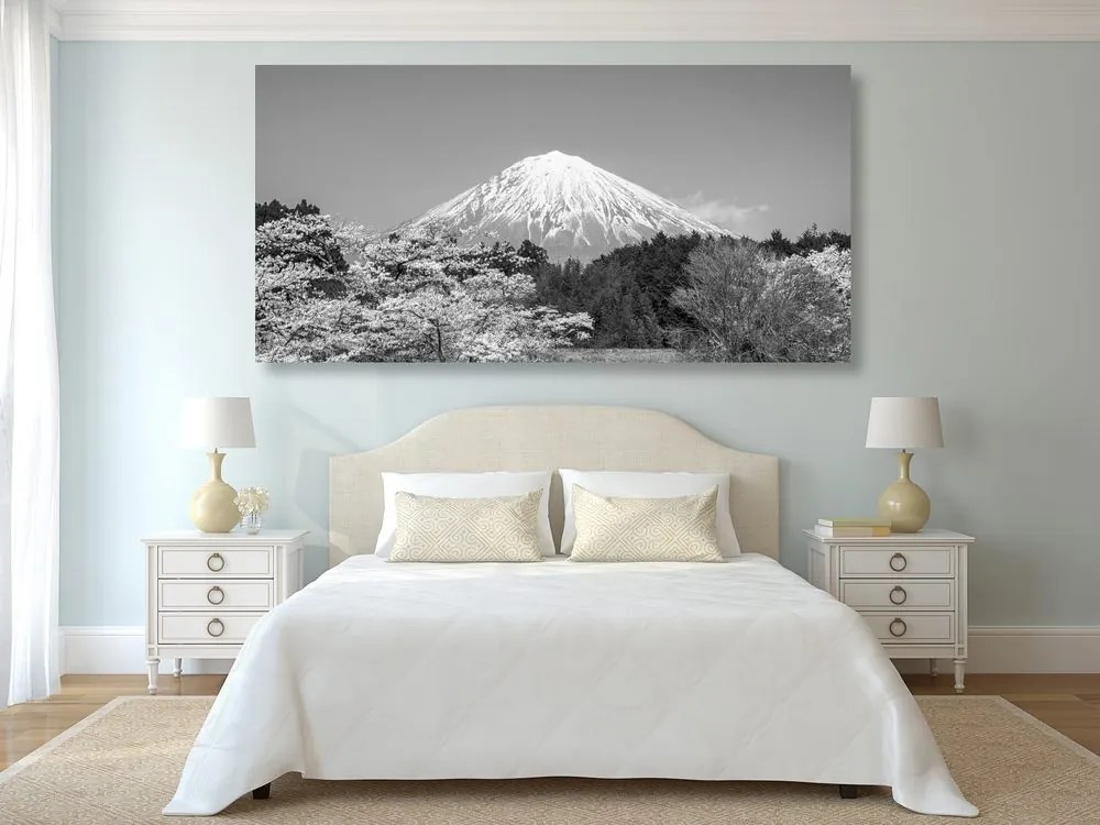 Stampa su tela – Monte Fuji in bianco e nero