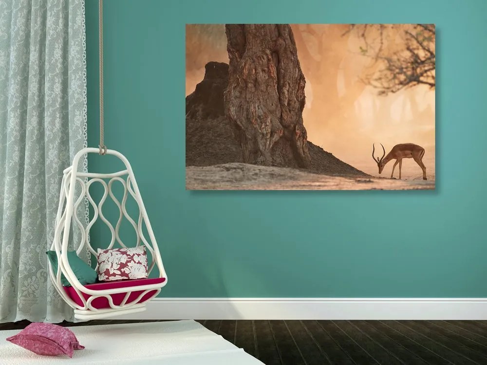 Quadro su tela – Antilope africana