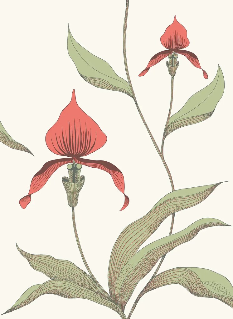 Cole & Son Carta da parati Orchid - Red on White