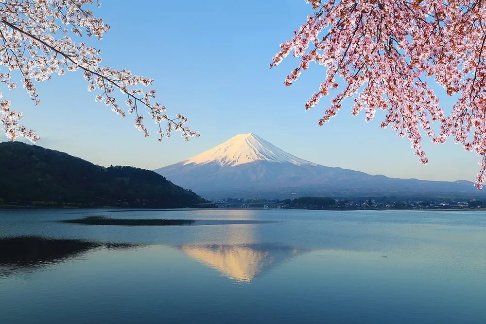 Carta da parati – Vista dal lago sul Fuji