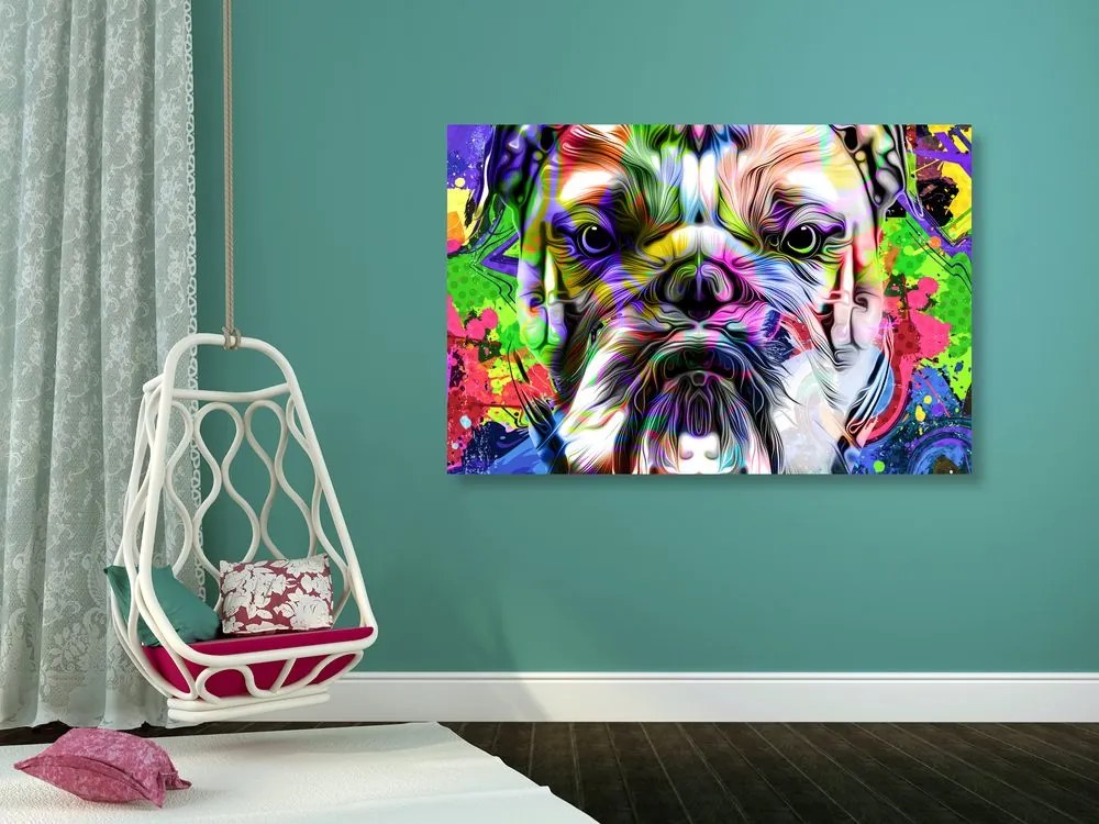 Quadro su tela – Bulldog pop-art