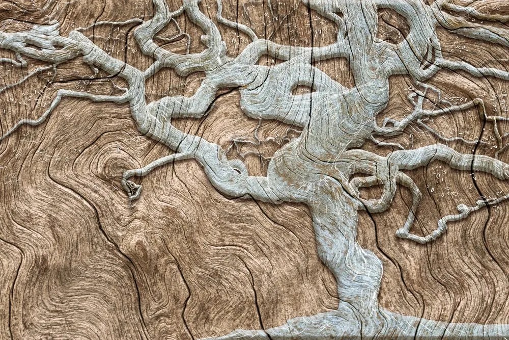 Carta da parati autoadesiva – Albero astratto su legno in beige