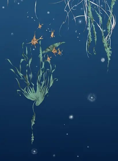 Edmond Petit Carta da parati Nautilus/Méduses/Nénuphars - Marine - Nénuphars droit - Marine