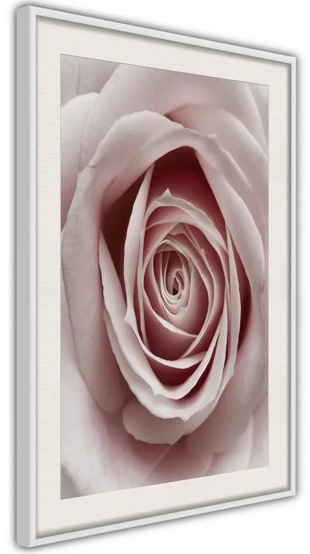 Poster  Rosebud  Cornice Quadri Cornice d'oro con passe-partout, Larghezza x Altezza Home decor 40x60