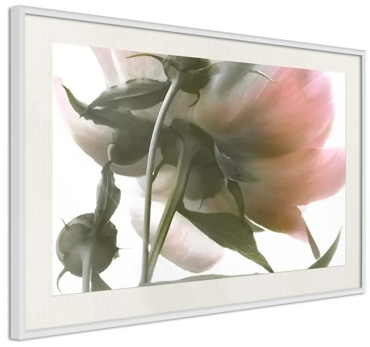 Poster  Under the Flower  Cornice Quadri Cornice d'oro con passe-partout, Larghezza x Altezza Home decor 60x40