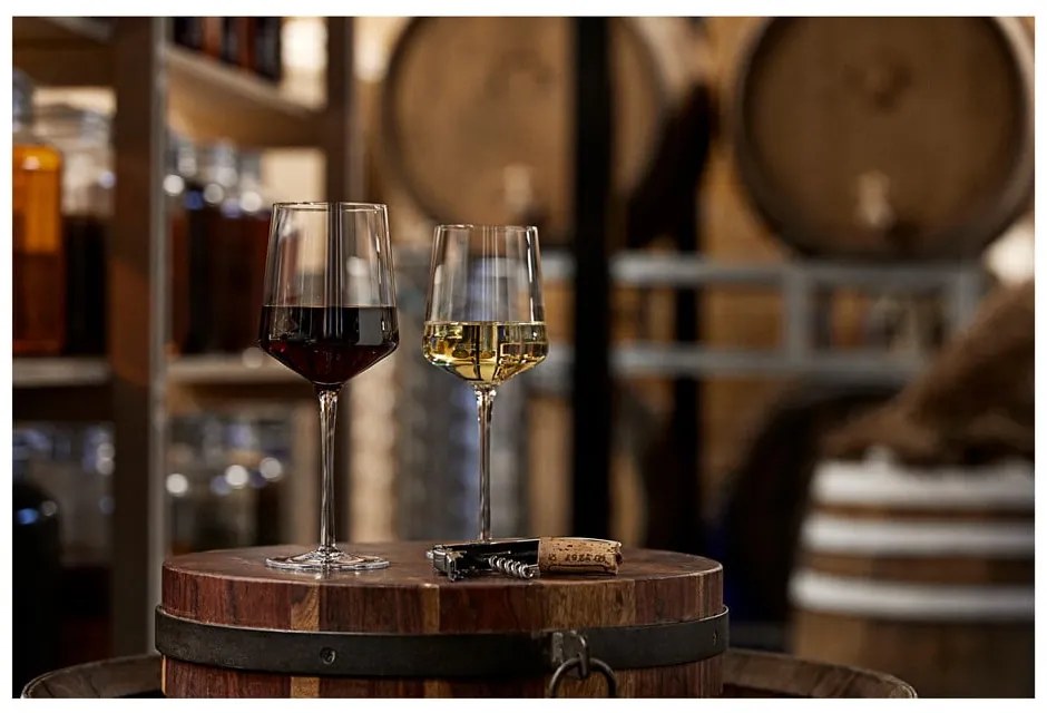 Bicchieri da vino in set da 2 300 ml Rocks - Zone