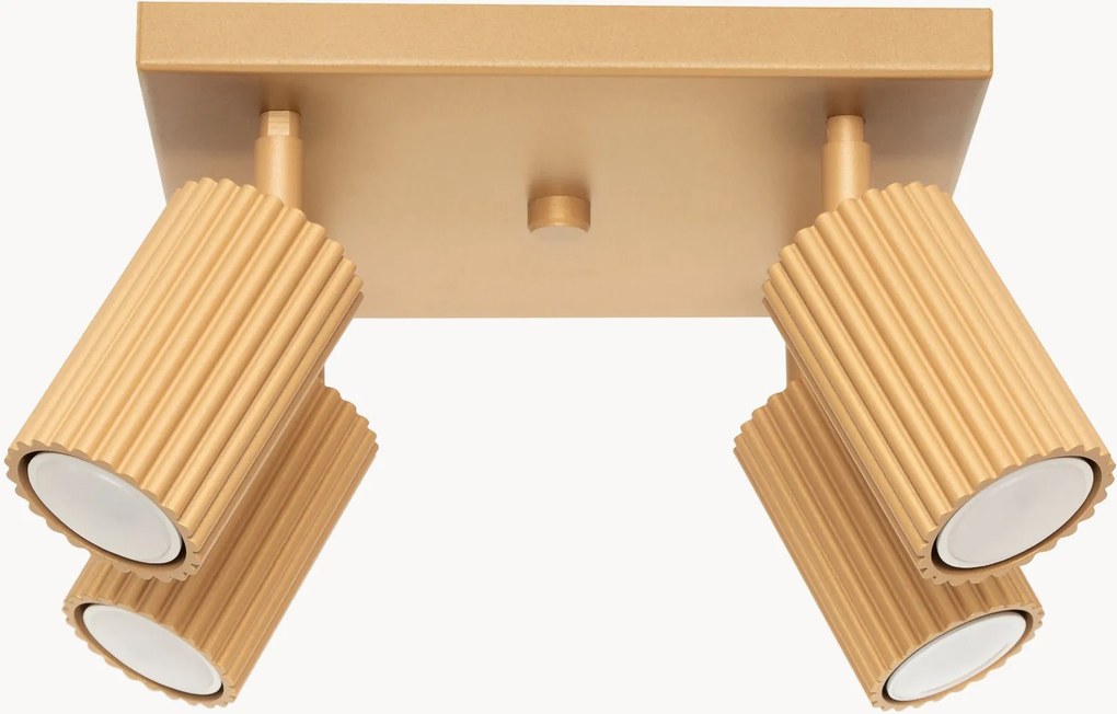 Faretti da soffitto piccoli Gleam