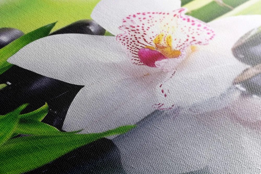 Quadro su tela – Orchidea giapponese