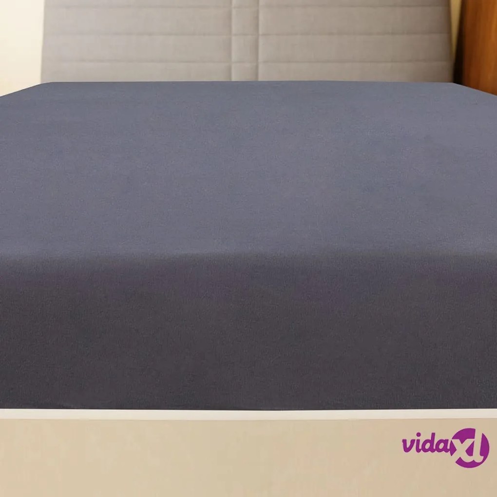 vidaXL Lenzuola con Angoli Jersey 2 pz Antracite 180x200 cm Cotone