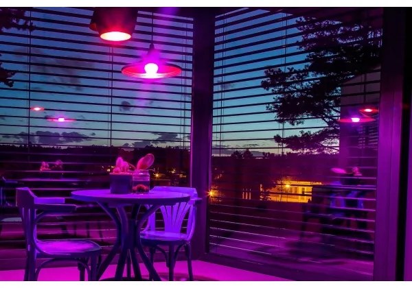 Immax NEO 07745L - LED RGB+CCT Lampadina dimmerabile E14/6W/230V 2700-6500K Wi-Fi