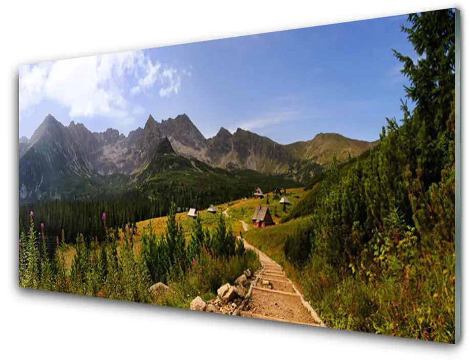 Quadro acrilico Montagne di Hala Strada della natura del prato 100x50 cm