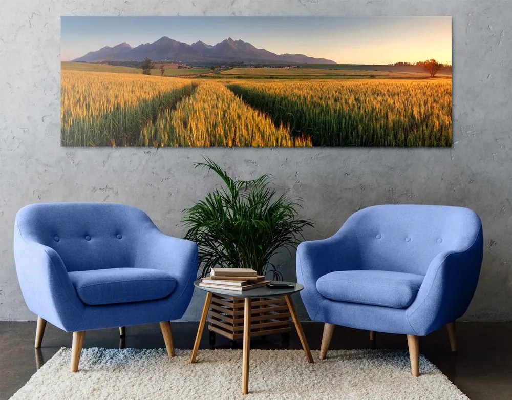 Stampa su tela – Tramonto su campo di grano