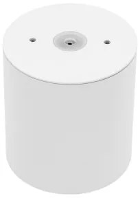 Luce Spot da bagno CHLOE 1xGU10/30W/230V IP65 arrotondato bianco