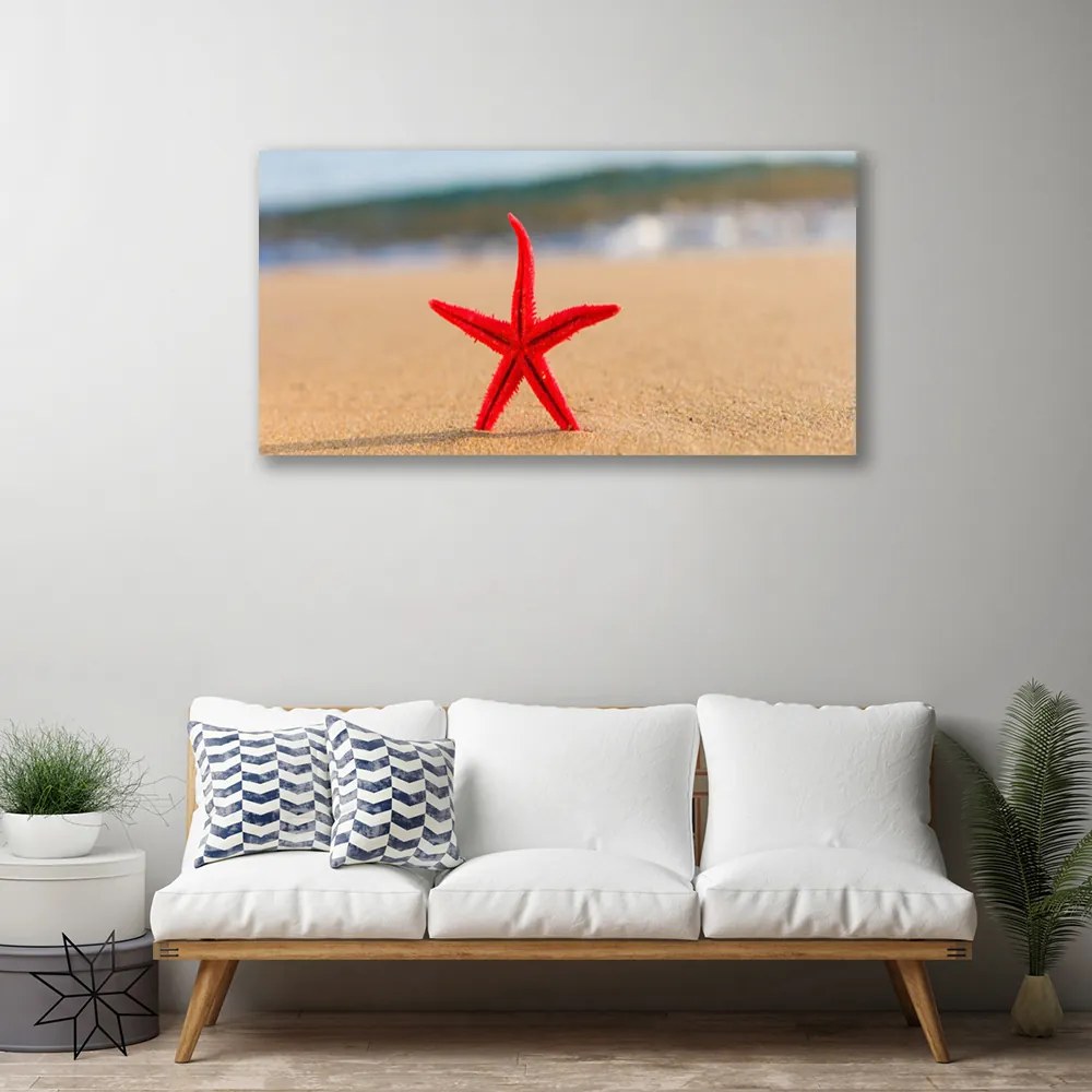 Quadro su tela Arte della stella marina della spiaggia 100x50 cm