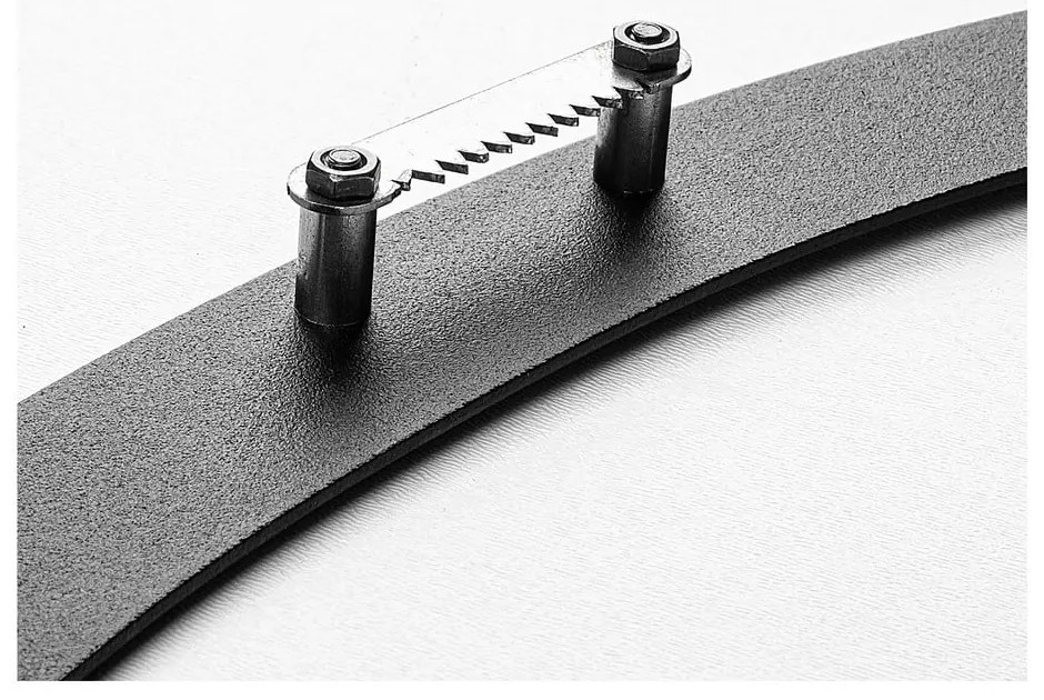 Decorazione murale in metallo 47x66 cm Branch & Birds - Wallity