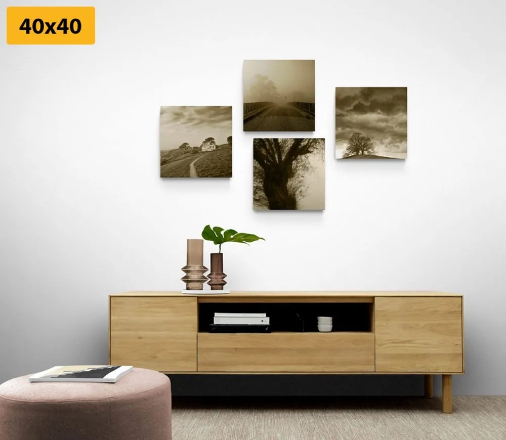 Set di quadri – Natura misteriosa in versione seppia