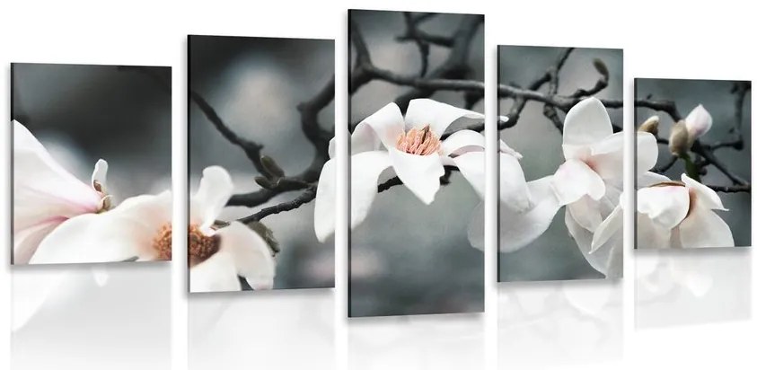 Quadri 5 pezzi – Magnolia che si sveglia