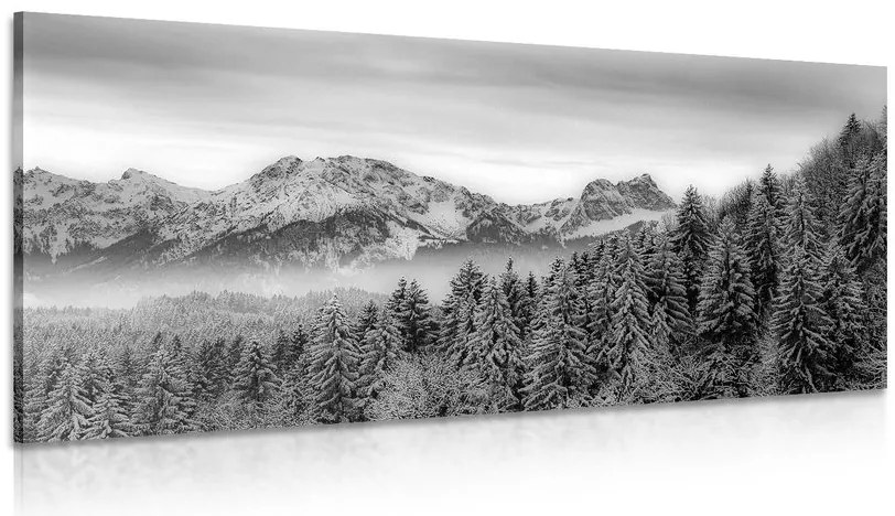 Stampa su tela – Montagne congelate in bianco e nero