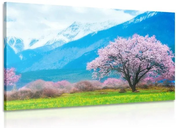 Quadro su tela – Albero magico tra le montagne