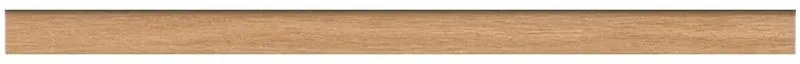 Piastrella battiscopa Courchevel in gres porcellanato marrone scuro opaco L 120 x H 6.5 cm x Sp 9 mm