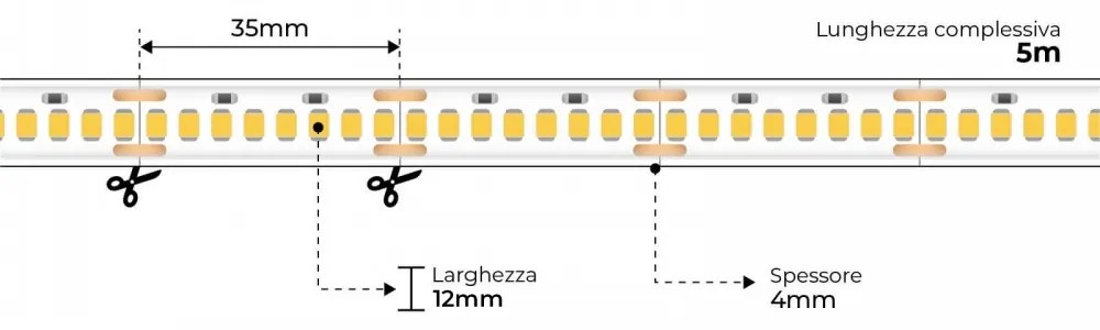 Striscia LED Professional 2835/224 - IP67 - 25W/m - 2.900lm/m- 5m - 24V Colore Bianco Freddo 6.000K