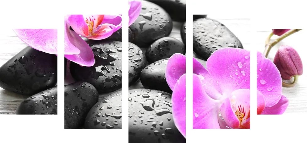 Quadri 5 pezzi – Bellissima armonia di pietre e orchidea