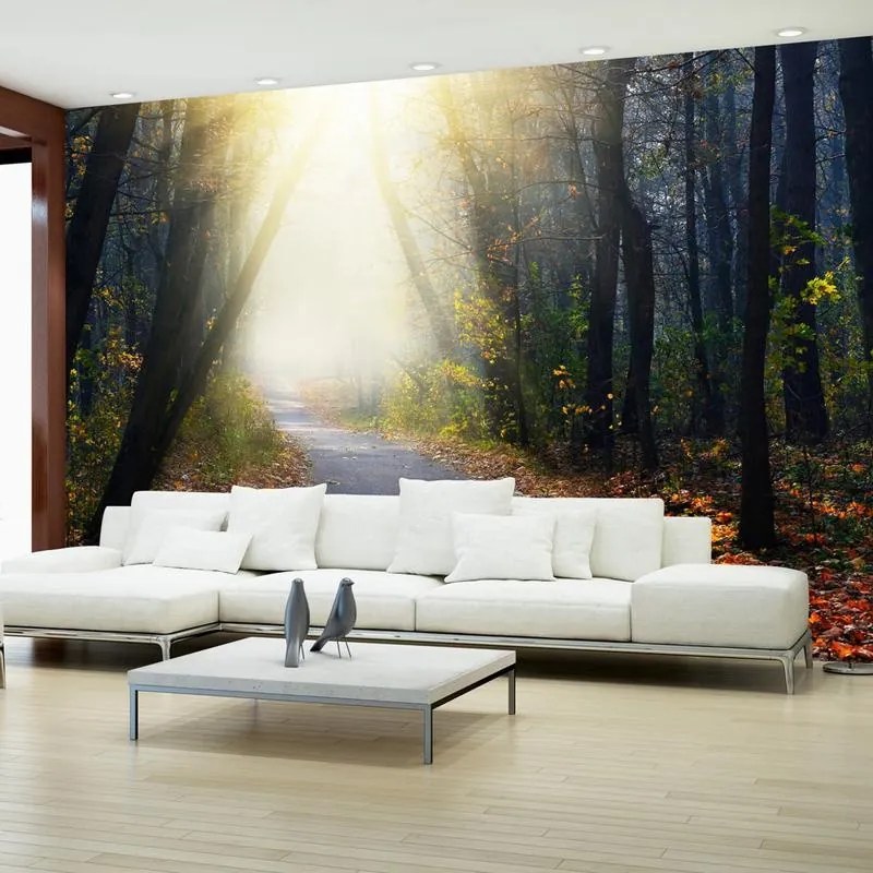 Fotomurale adesivo  Strada attraverso la foresta  Larghezza x Altezza Home decor 147x105