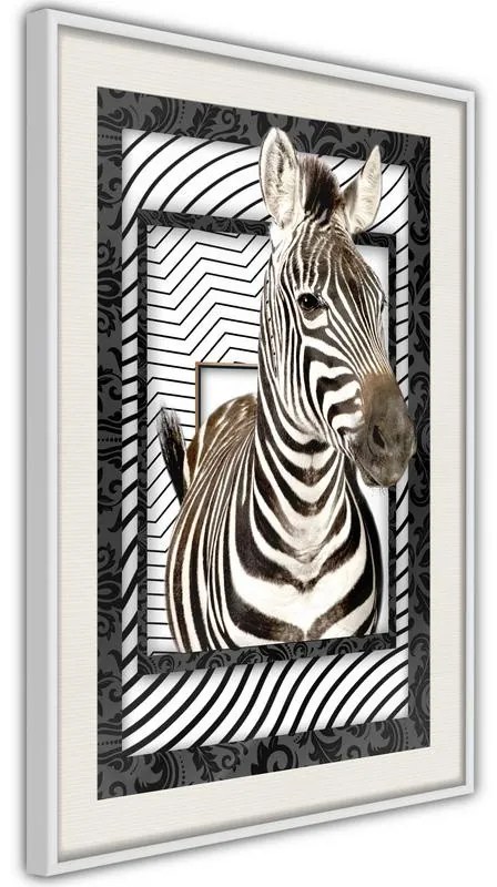 Poster  Zebra in the Frame  Cornice Quadri Cornice d'oro con passe-partout, Larghezza x Altezza Home decor 20x30