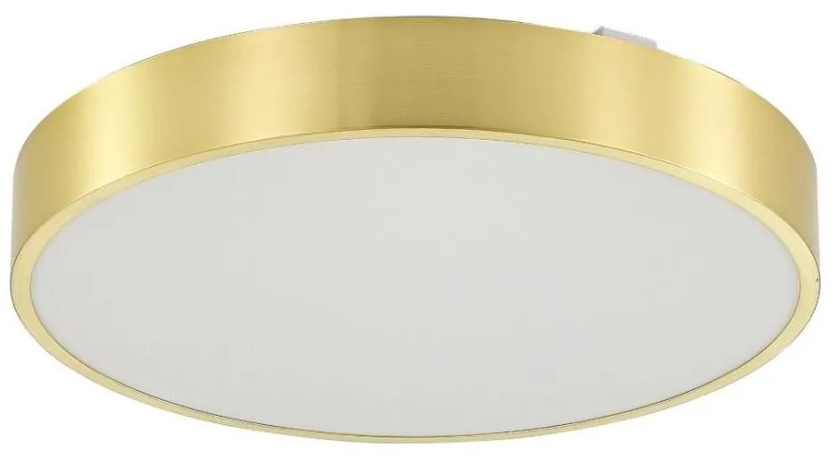 Zuma Line MS724-R500-GD - Luce LED dimmerabile NADI LED/50W/230V diametro 50 cm gold+RC