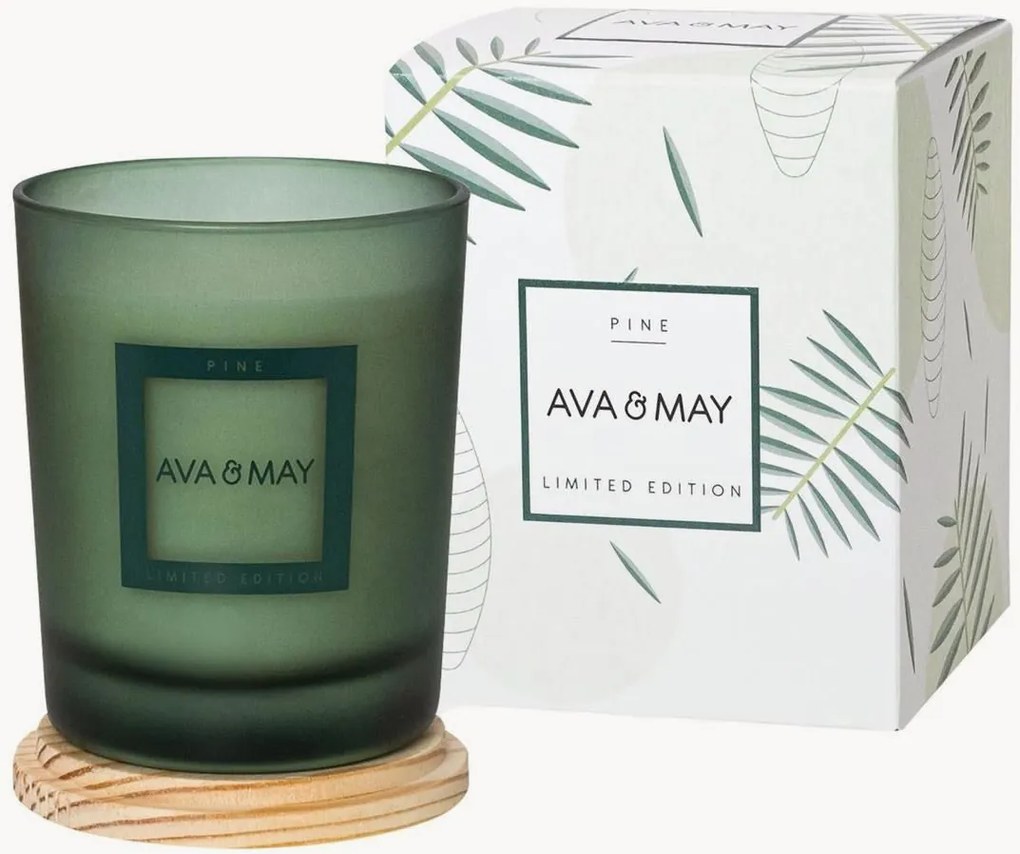 Candela profumata fatta a mano Pine (eucalipto, pino, cedro)